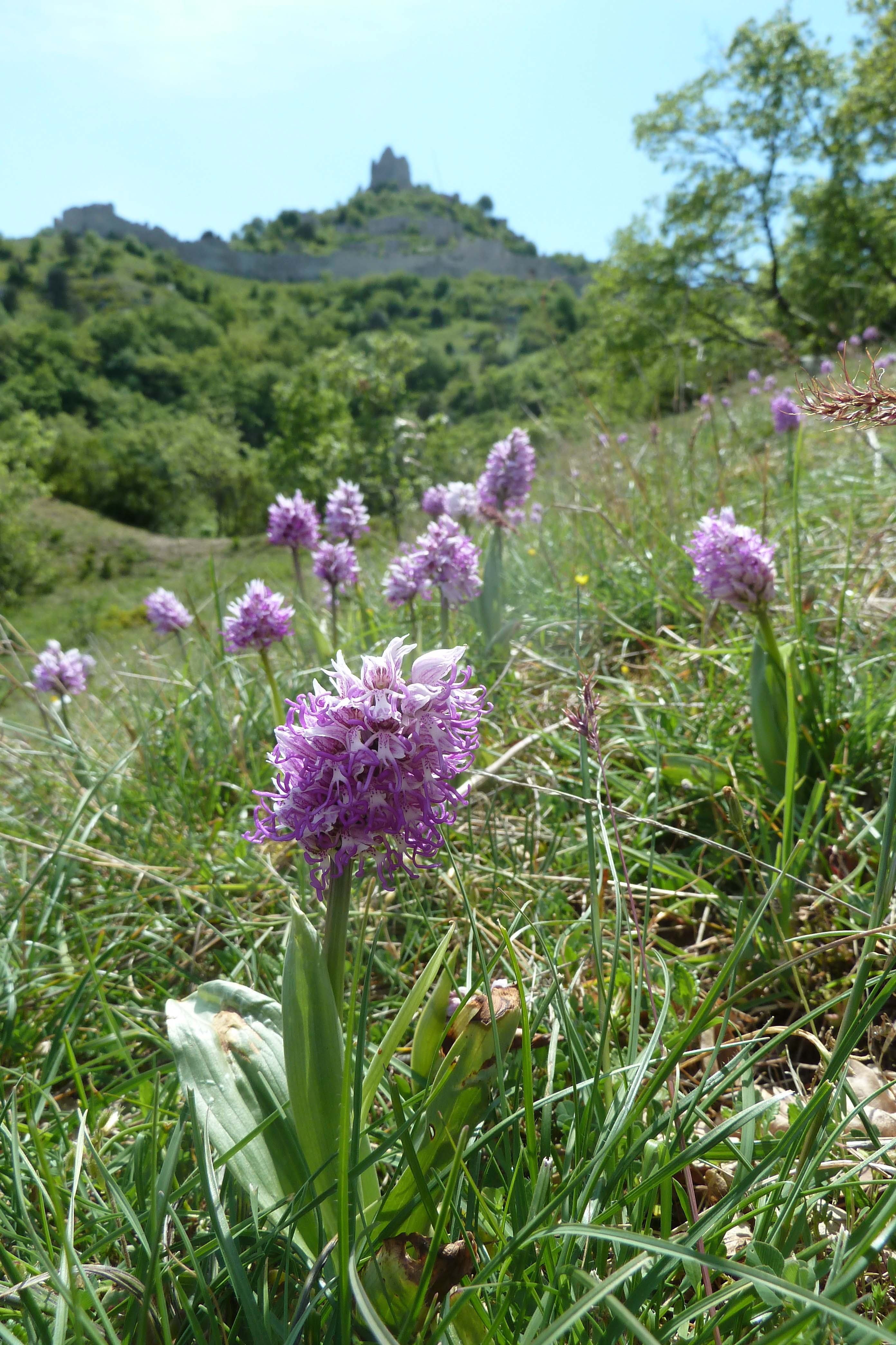 que fair een ardèche ? Des balades découverte de la nature